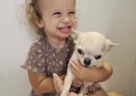 img (6)